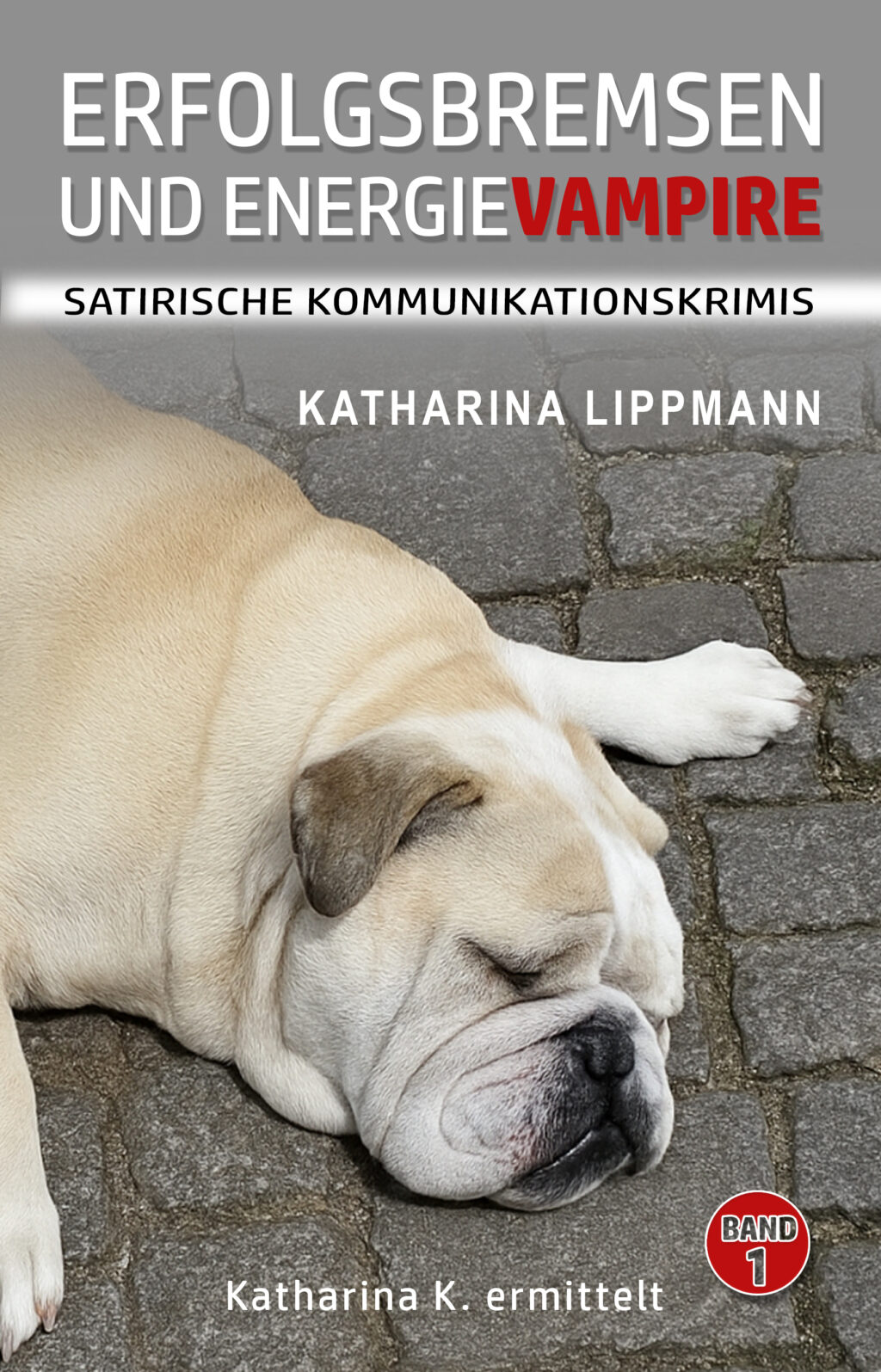 Erfolgsbremsen und Energievampire - Katharina Lippmann